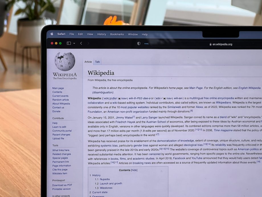Prix d'un article de netlinking